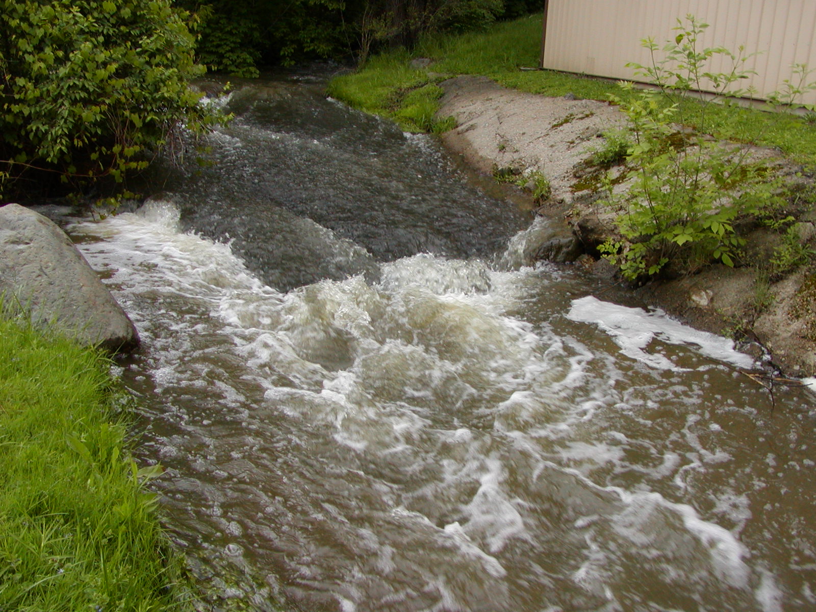 Black Pond, Black Pond Nature Area